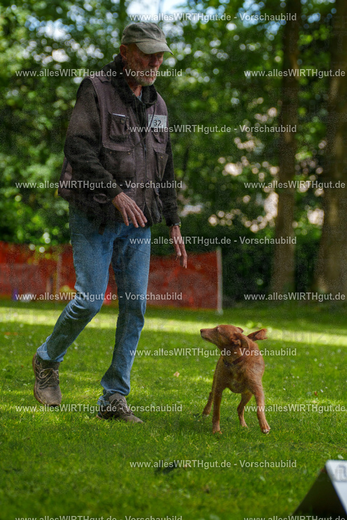 @allesWIRTHgut_Tierfotografie - www.allesWIRTHgut.de - 121545-7R508750 | Professionelle Tierfotografie in Mönchengladbach von Daniel Wirth (allesWIRTHgut). Liebevolle & natürliche Bilder von Hunden & Katzen für unvergessliche Erinnerungen.