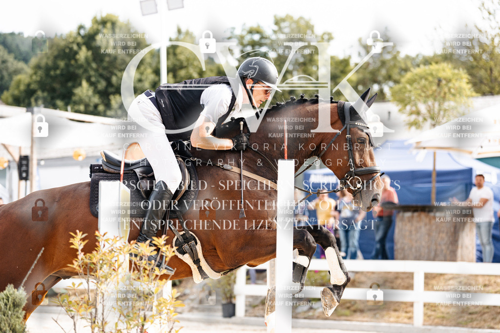 CK902519 | Turnierfotografie Pferdefotografie Trier Rheinland-Pfalz Pferdesport Reitsport Tierfotografie Sportfotografie Pferdevideo Pferdevideografie Equestrianvideography equestrianphotography  - Realisiert mit Pictrs.com