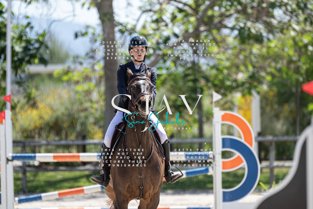 IMG_9932 | s-jay-photography - Realisiert mit Pictrs.com