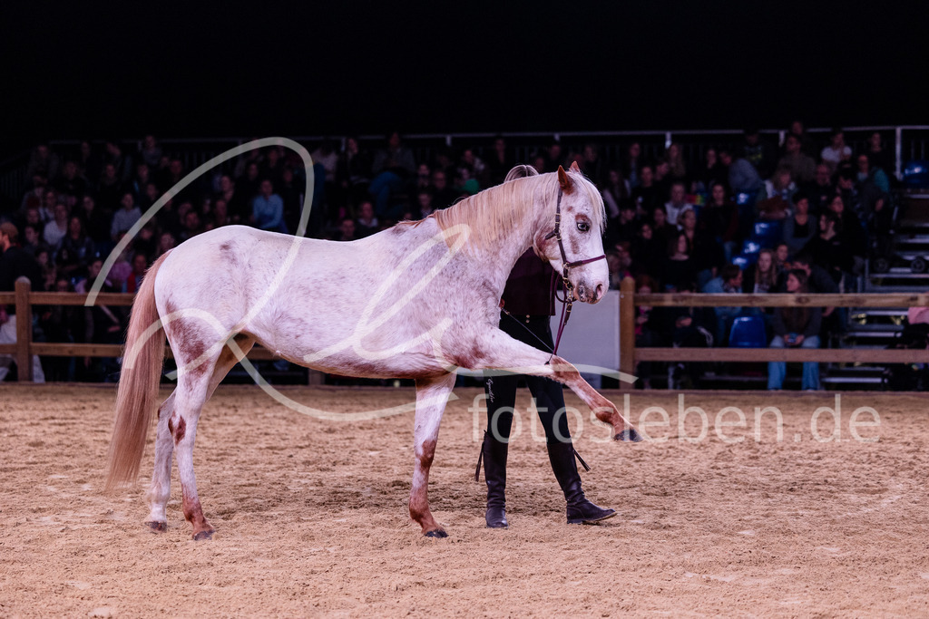 846A7656 | fotosleben - Realisiert mit Pictrs.com
