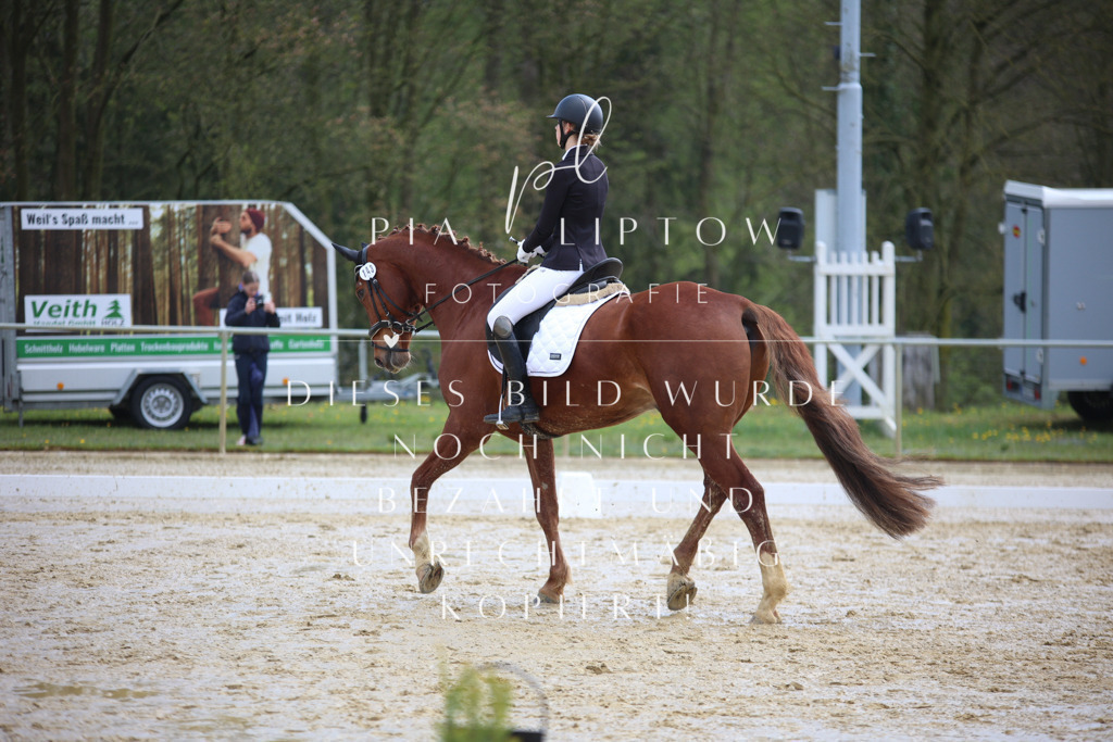 IMGT3449 | pl-fotografie