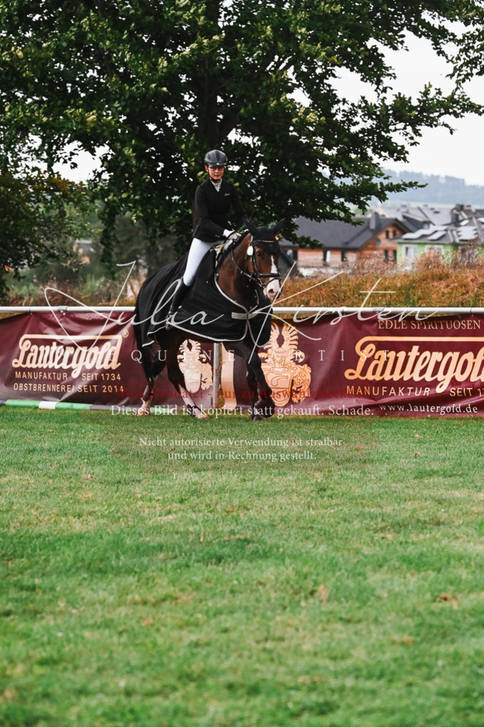 DSC_6230 | Pferde- und Turnierfotografie in Westsachsen. Pferdeportraits, Auftragszeichnungen und intuitive Kunst.