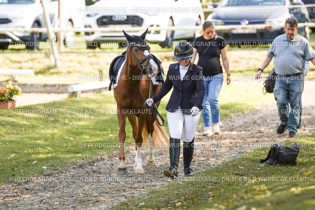 DSC06674 | Pferdegrafie