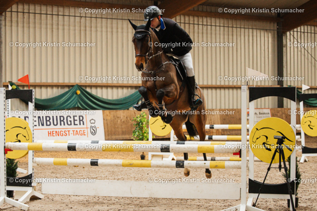 Springpferde A_-24 | Kristin Schumacher Photography