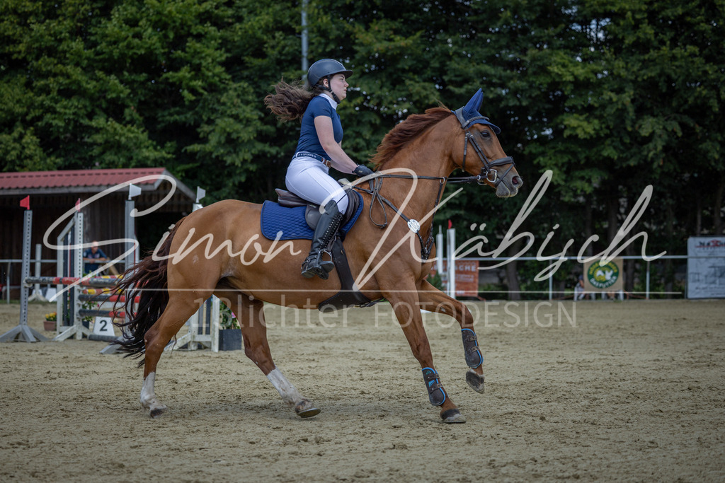 20260704-_3LI9941 | Tierfotografie Pferde, Hunde, Katzen, Haustiere.
Turnierfotografie Reitturniere, Reiten, Springreiten, Dressur in Hanau, dem Main-Kinzig-Kreis und dem Rhein-Main- Gebiet um Frankfurt