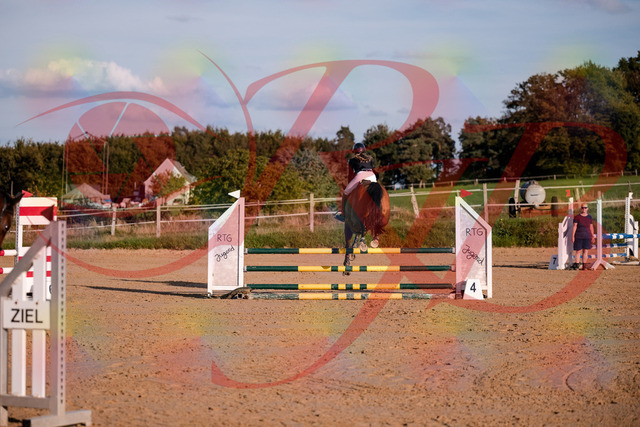 2026_10_03_Siefer-Hof_170858_Z81_05627701 | Professionelle Reitsport-, Turnier- und Eventfotografie von Robert Broda. Galerien mit ausgewählten und bearbeiteten Bildern direkt online ansehen und bestellen.
