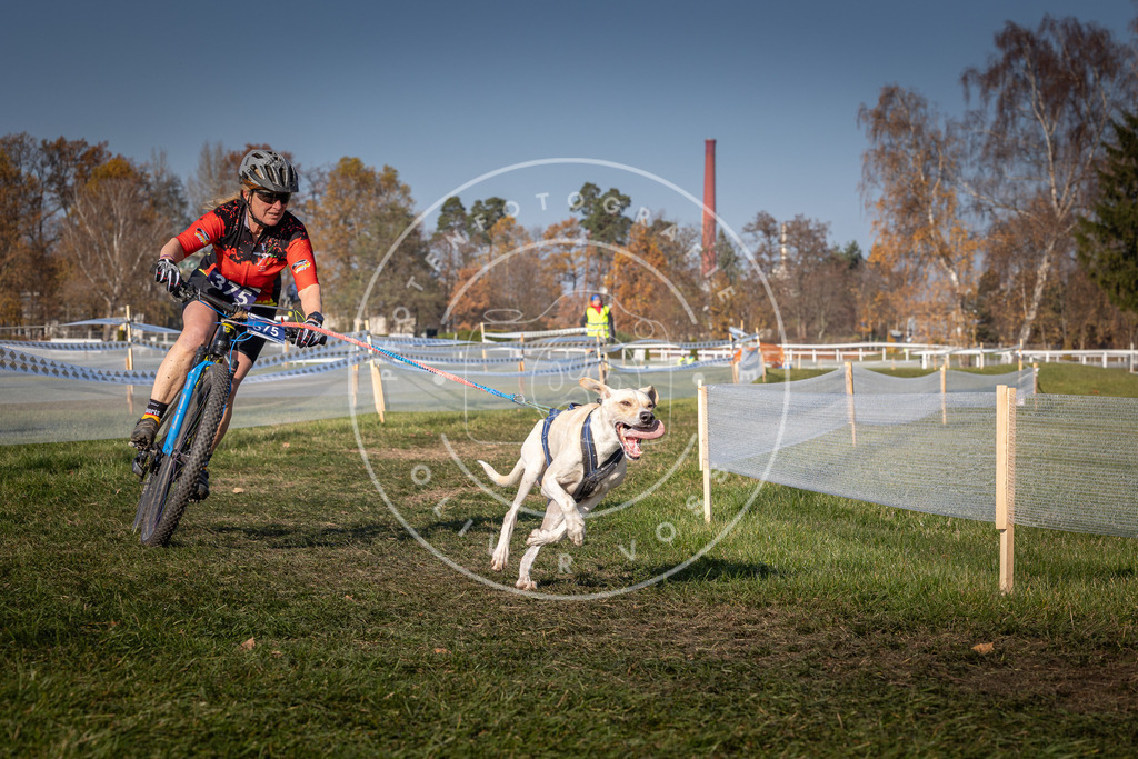 CaniXpix_0L8A7464 | Hundefotografie, Tierfotograf, Pfotenfotografie, Fotoshooting Hund, Hunde Portrait, Hundesport, Hundeportraits, Heideshooting, Hunde, Sportfotograf, Hundefotograf, Turnierhundsport, THS,  - Realisiert mit Pictrs.com