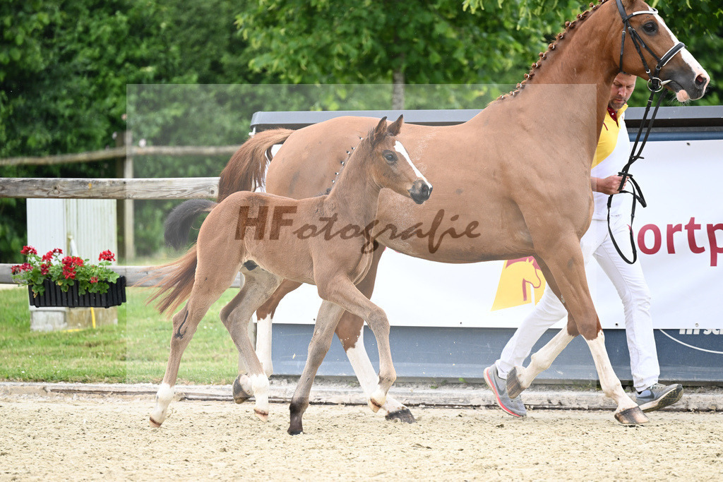 Kat-Nr. 36 HF Sanvaro_Wimmer_17230992 | hf-fotografie - Realizzato con Pictrs.com