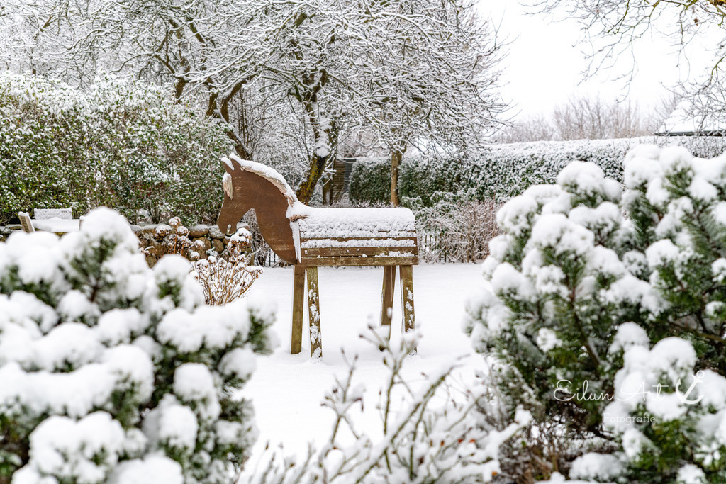 20260103-EAF_8195 | Eilun-Art-Fotografie Levke Martens, ihre Fotografin für Immobilien- und Landschaftsfotografie auf Föhr, Föhrer Motive als Poster, Leinwand, hinter Acrylglas oder stelle dir deinen eigenen Monatskalender zusammen, mit nur einem Klick