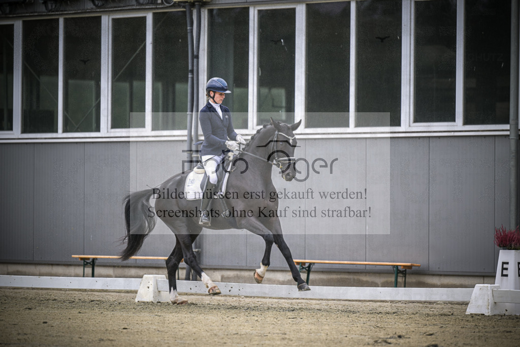 DOS_0408 | Entdecke hochwertige Reitturnierfotos von Foto Oger. Professionell, emotional und authentisch – jetzt Lieblingsmomente im Shop bestellen.Deutschlandweite Turnierfotografie. - Realisiert mit Pictrs.com