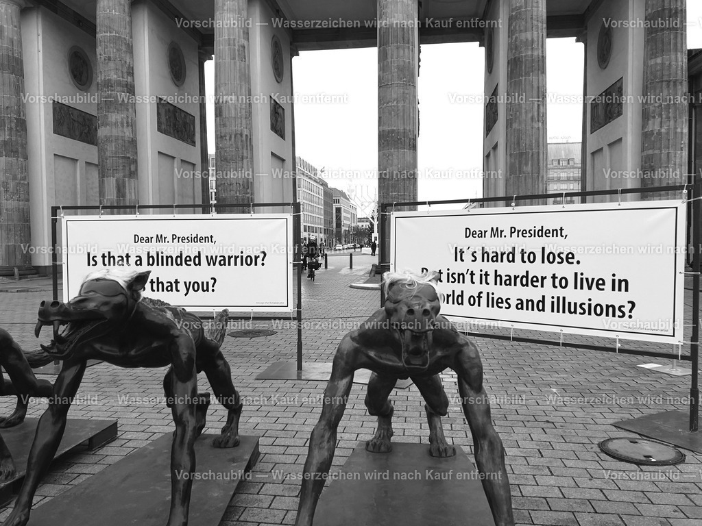 Performance am Brandenburger Tor | online Fotogalerie mit schwarz-weiß Fotografien und Shop für zeitlose  Poster und Leinwände in stilvollem schwarz weiß  - Realisiert mit Pictrs.com