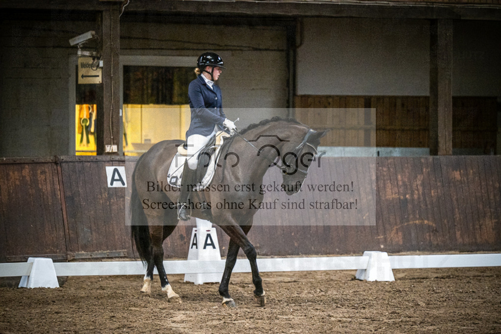 DOS_1044 | Entdecke hochwertige Reitturnierfotos von Foto Oger. Professionell, emotional und authentisch – jetzt Lieblingsmomente im Shop bestellen.Deutschlandweite Turnierfotografie. - Realisiert mit Pictrs.com