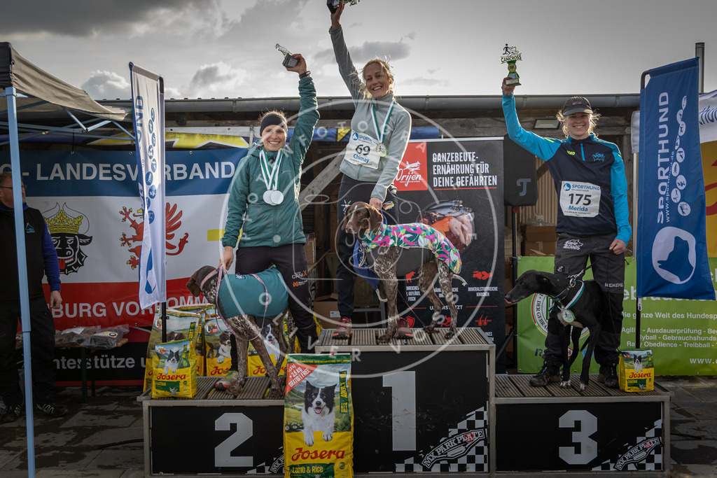 0L8A9261 | Hundefotografie, Tierfotograf, Pfotenfotografie, Fotoshooting Hund, Hunde Portrait, Hundesport, Hundeportraits, Heideshooting, Hunde, Sportfotograf, Hundefotograf, Turnierhundsport, THS,  - Realisiert mit Pictrs.com