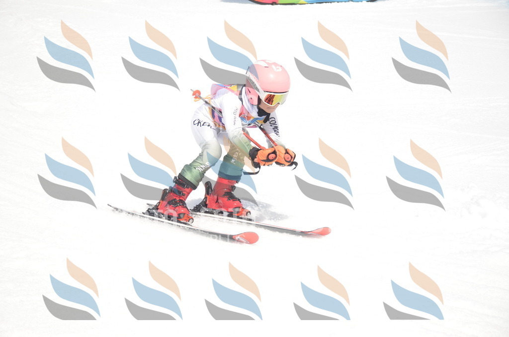 _ELE8965 | holidayphoto