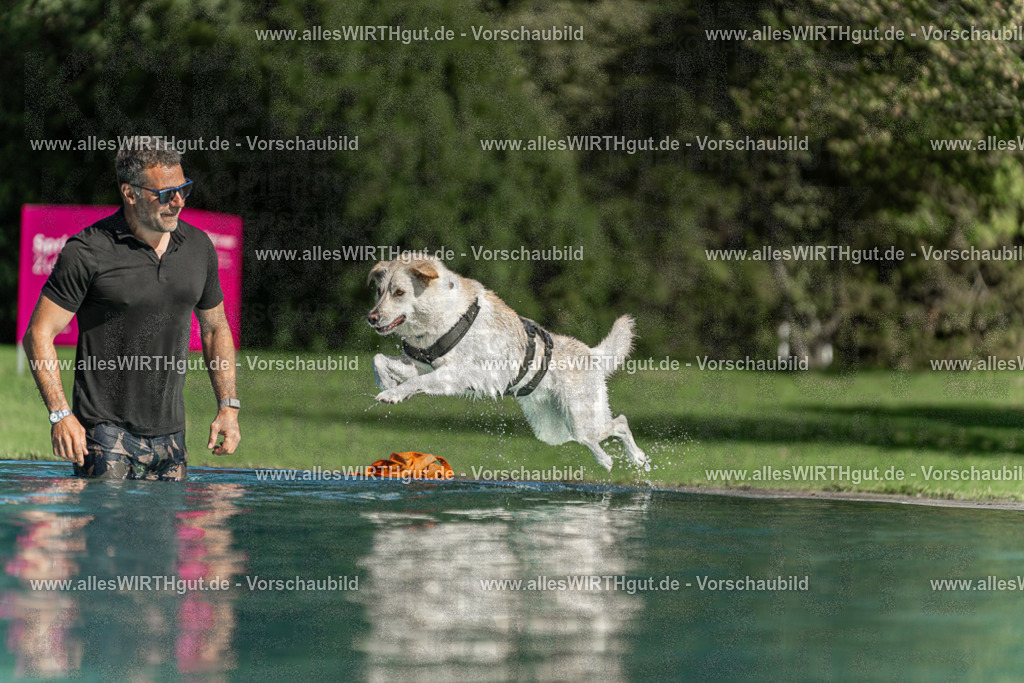 Hundeschwimmen_Volksbad_2026-allesWIRTHgut_Tierfotografie-2609061552-7R502007 | Professionelle Tierfotografie in Mönchengladbach von Daniel Wirth (allesWIRTHgut). Liebevolle & natürliche Bilder von Hunden & Katzen für unvergessliche Erinnerungen.