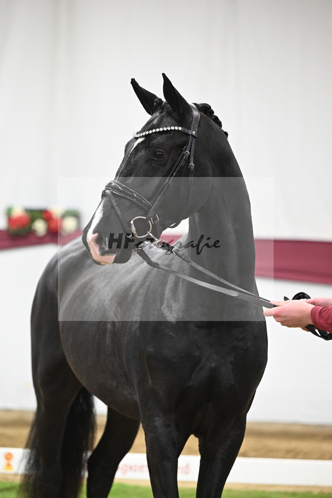 Kat-Nr. 50 Energy x Sezuan_Wilhelm u. Marvin Klausing GbR_47251852 | hf-fotografie - Realisiert mit Pictrs.com