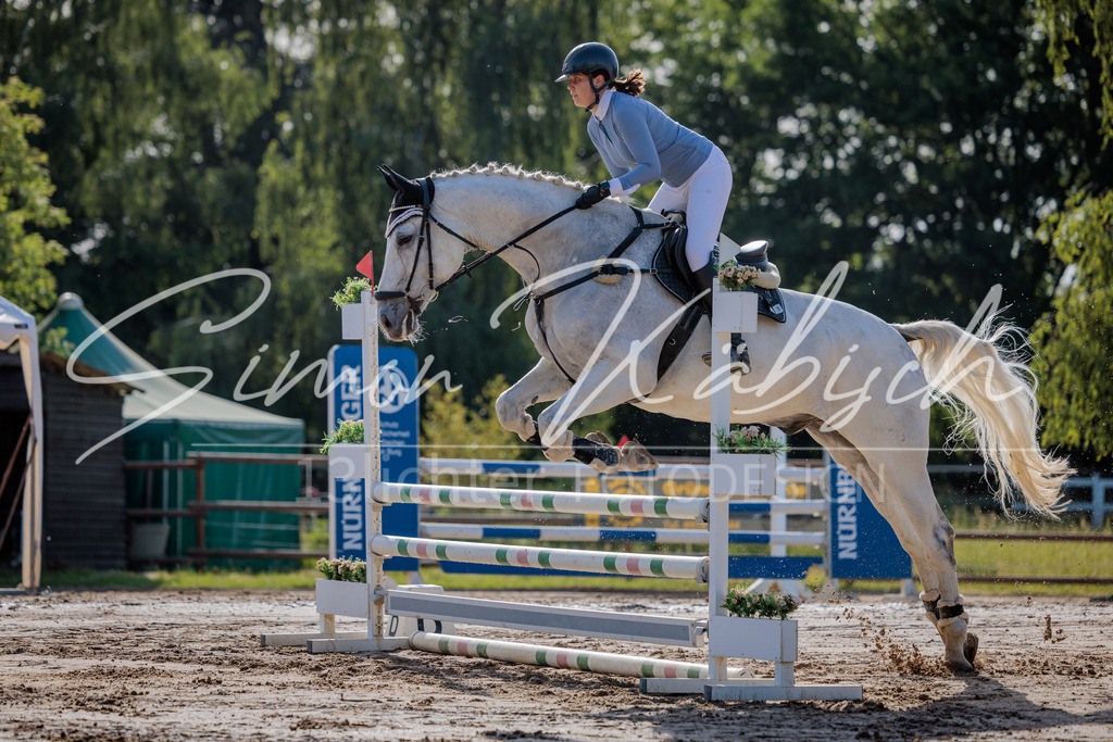 20260529-_3LI0171 | Tierfotografie Pferde, Hunde, Katzen, Haustiere.
Turnierfotografie Reitturniere, Reiten, Springreiten, Dressur in Hanau, dem Main-Kinzig-Kreis und dem Rhein-Main- Gebiet um Frankfurt
