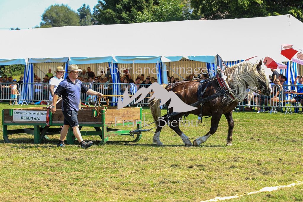 OE7A5687 | Medien- Sport- Entertainmentfotos