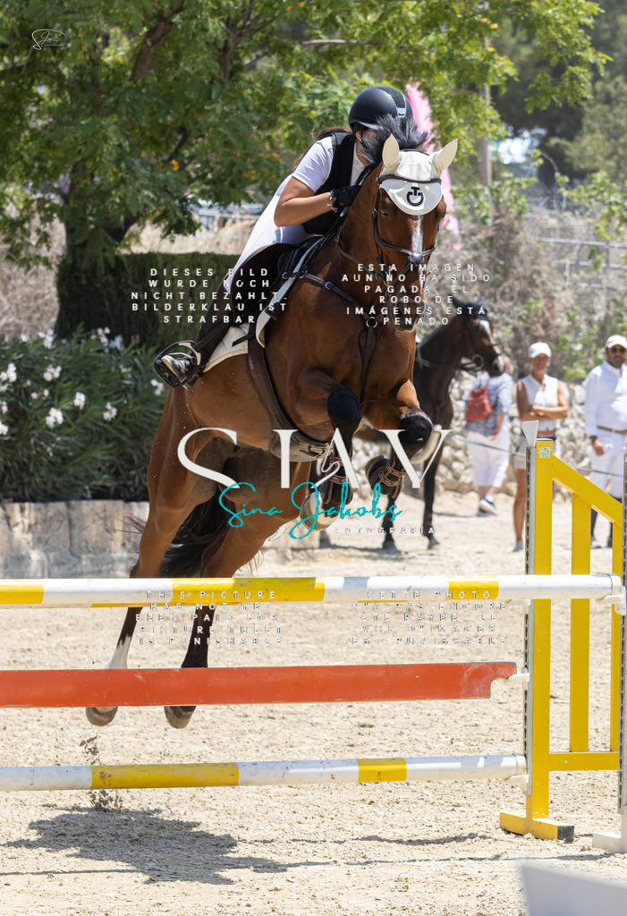 IMG_7385 | s-jay-photography - Realisiert mit Pictrs.com