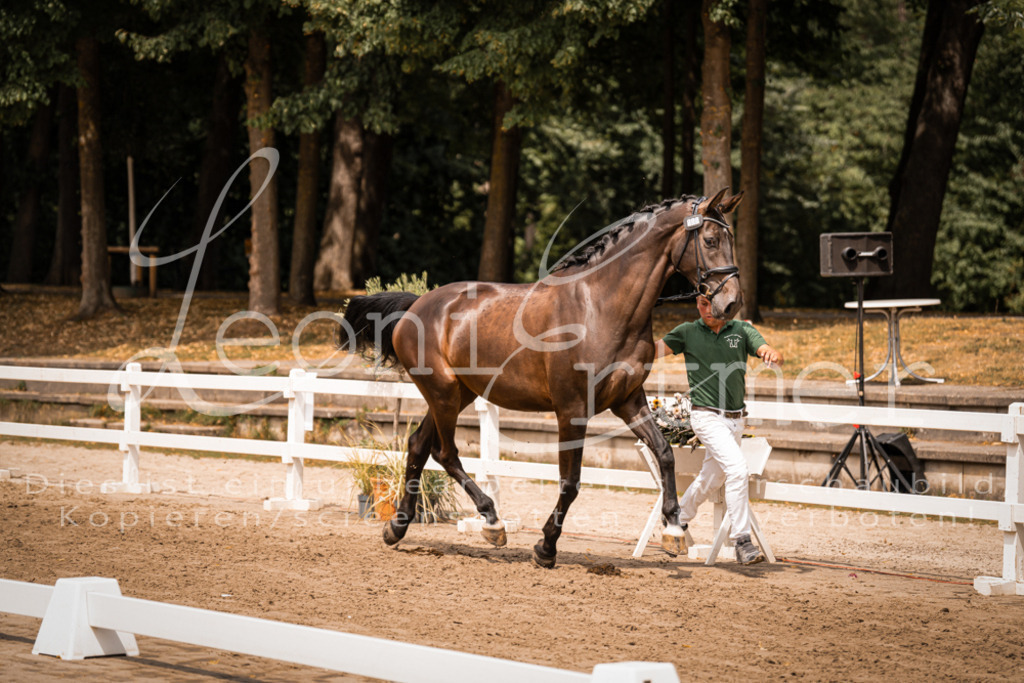 3.Fr00041 | Leoni Ertmer Photography - Realisiert mit Pictrs.com