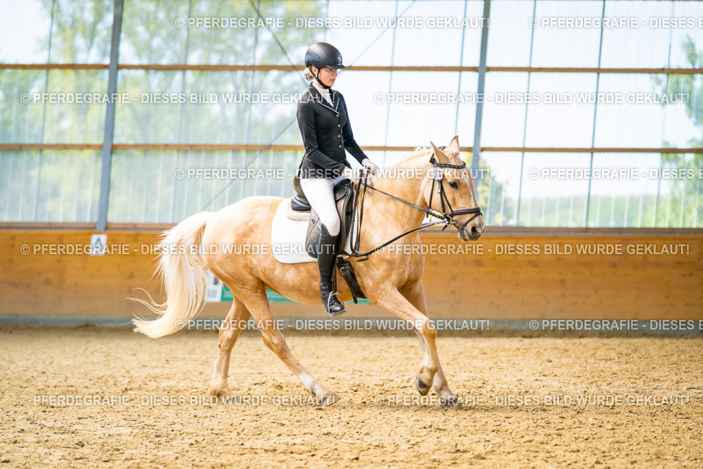 DSC09334 | Pferdegrafie