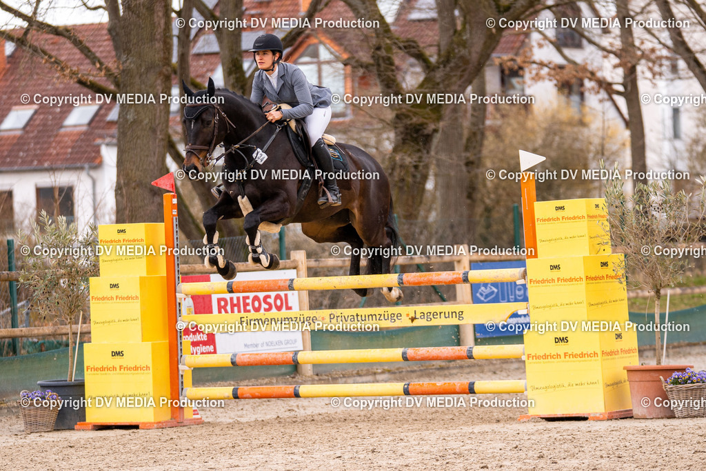 Kranichstein Tag 2-683 | dv-media-shop - Realisiert mit Pictrs.com