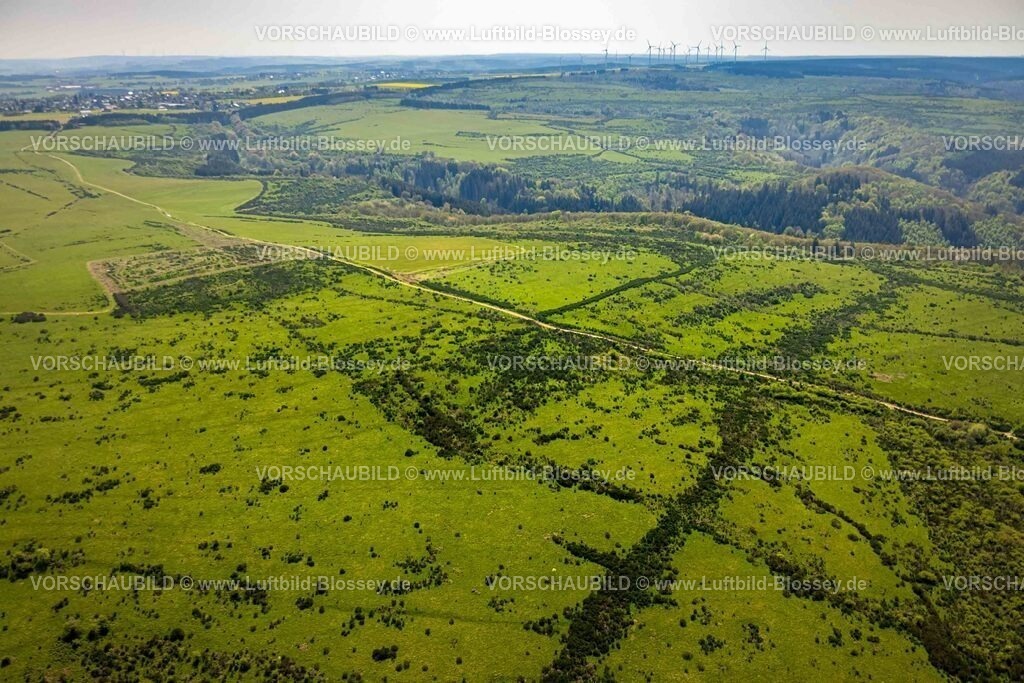 Schleiden240502118DreibornerHochfläche | Luftbild, Waldgebiet und Dreiborner Hochfläche Naturschutzgebiet NSG zwischen Scheuren und Dreiborn, Wiesen und Felder mit Muster, Nationalpark Eifel, Dreiborn, Schleiden, Nordrhein-Westfalen, Deutschland