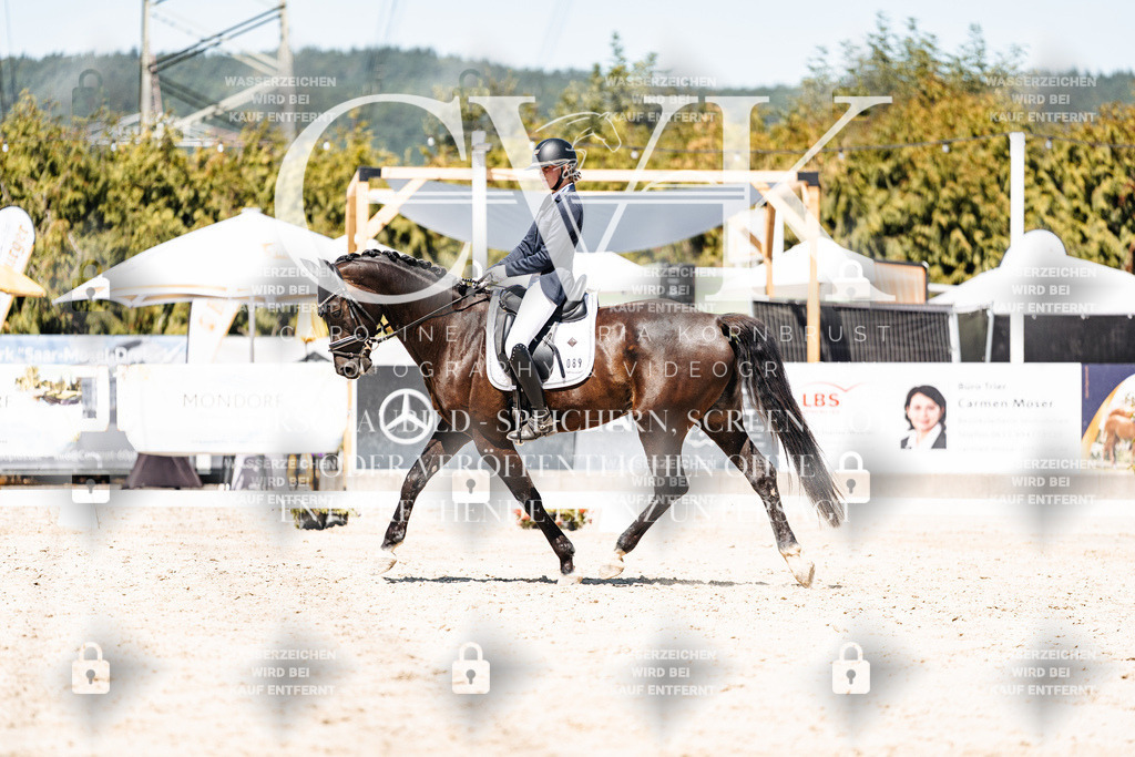 CK900318 | Turnierfotografie Pferdefotografie Trier Rheinland-Pfalz Pferdesport Reitsport Tierfotografie Sportfotografie Pferdevideo Pferdevideografie Equestrianvideography equestrianphotography  - Realisiert mit Pictrs.com