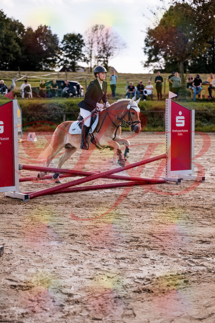 2026_10_03_Siefer-Hof_145444_Z81_34745551 | Professionelle Reitsport-, Turnier- und Eventfotografie von Robert Broda. Galerien mit ausgewählten und bearbeiteten Bildern direkt online ansehen und bestellen.