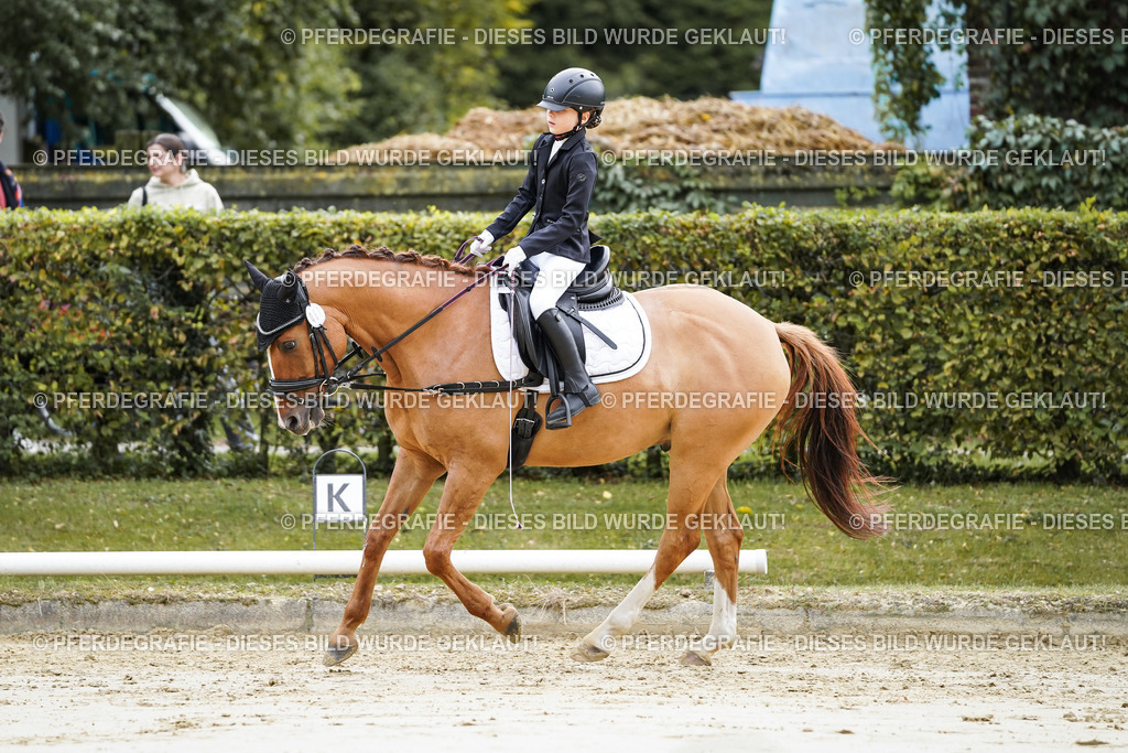 DSC05459 | Pferdegrafie