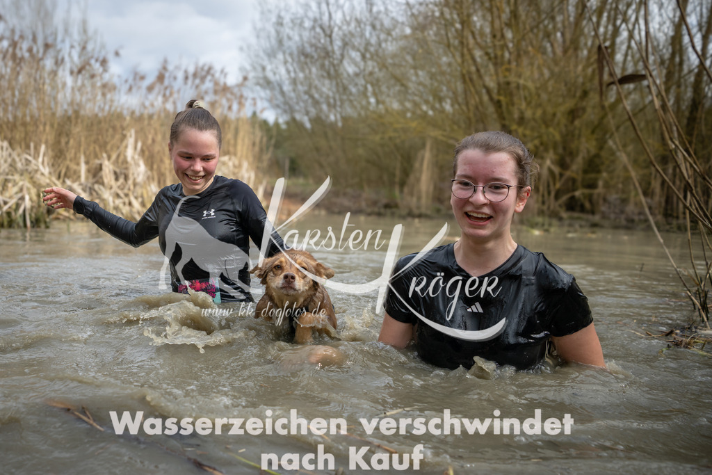 1559_ZZ95327 | kk-dogfotos