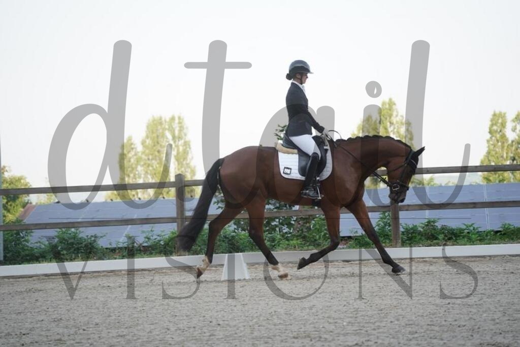 tgbhfreitag (32) | d.tail Visions - Shop - Realisiert mit Pictrs.com