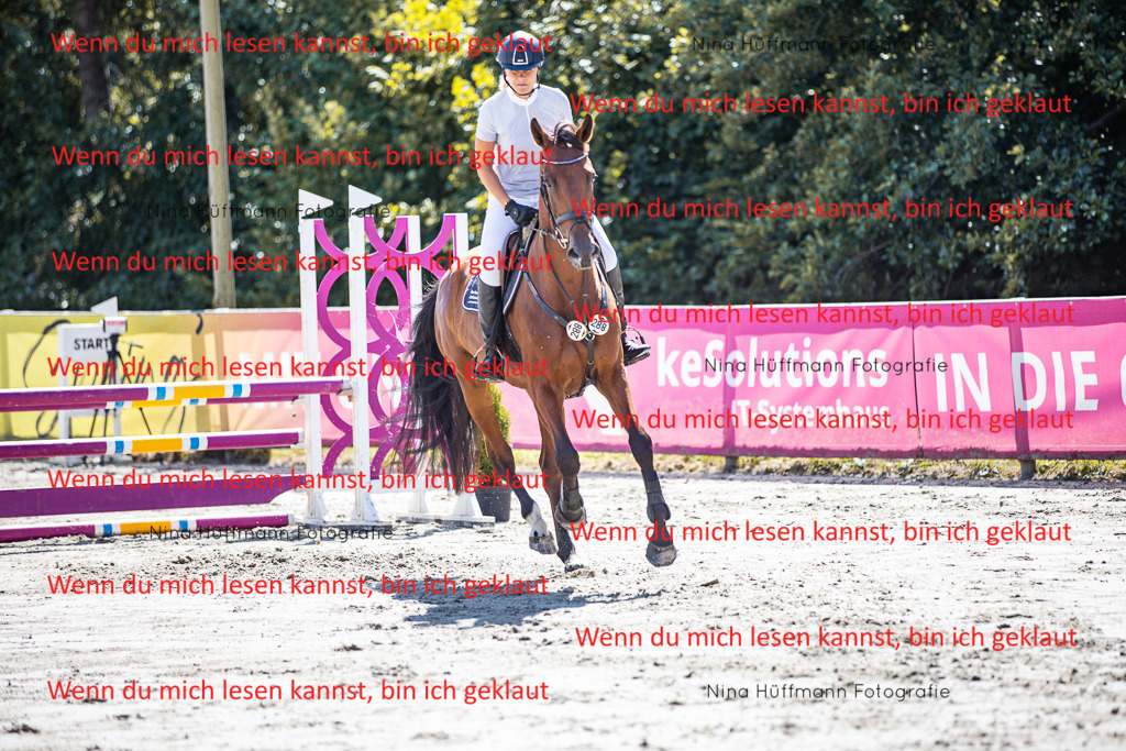 BK1A5217 | Turnierbilder Turnierfotos Nina Hüffmann Turnierfotografie Pferdefotografie Tierzeichnung Haustierzeichnung Pferdezeichnung Hundezeichnung Videograf  - Realisiert mit Pictrs.com