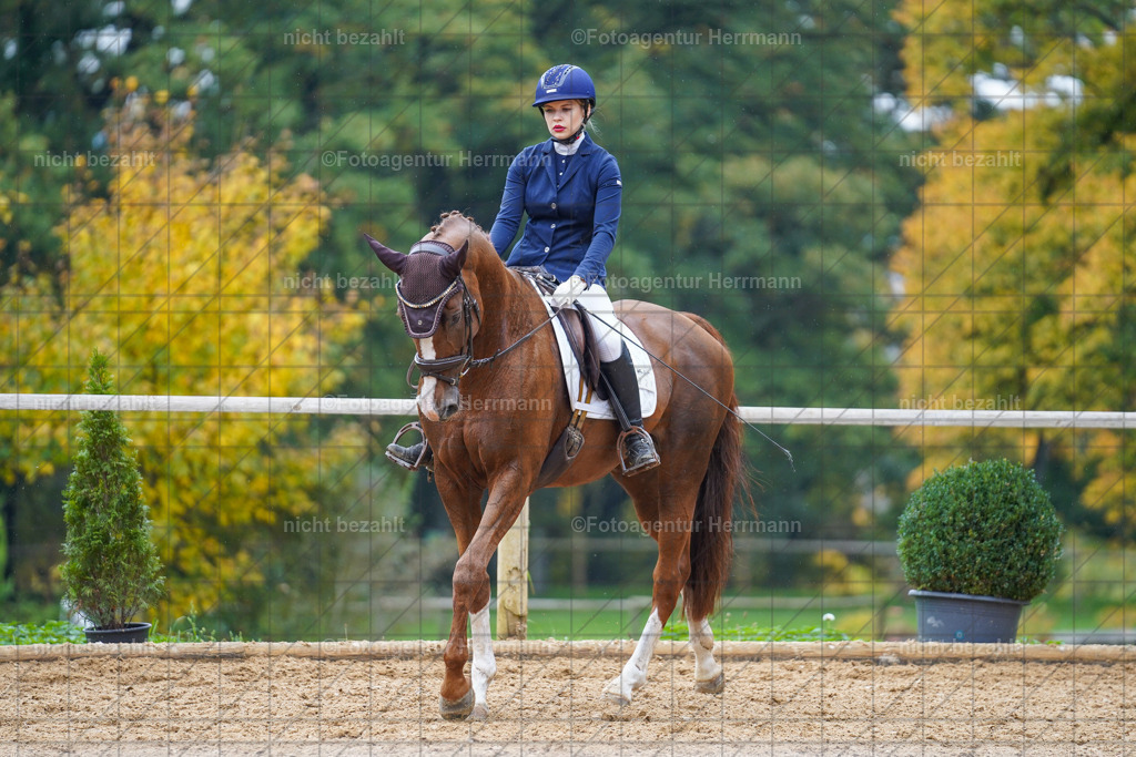 20221008-FAH01736 | Diessen am Ammersee, 2022, Dressur- und Springturnier, Reitsportbilder, Turnierfotografen Bayern, Pferdefotografen, Fotoagentur Herrmann, Turnierbilder