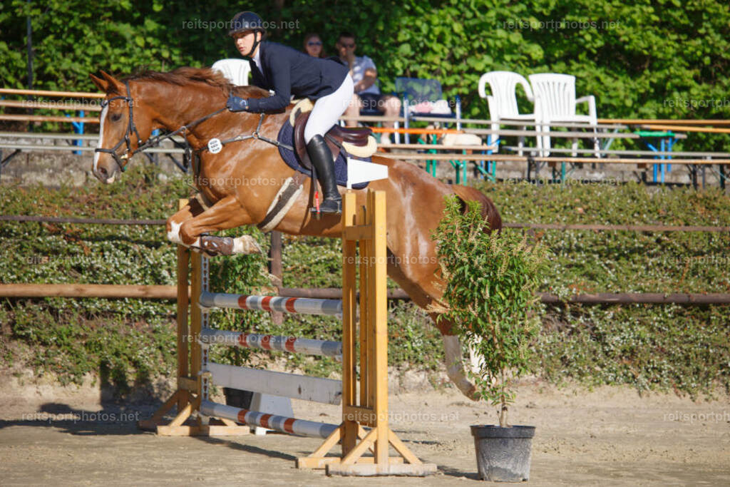 JHE_0588 | JoYa Fotografie - Realisiert mit Pictrs.com