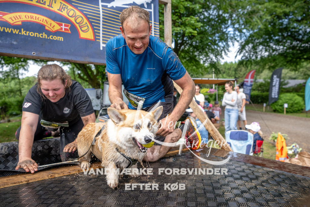 1054_ZZ91935 | kk-dogfotos