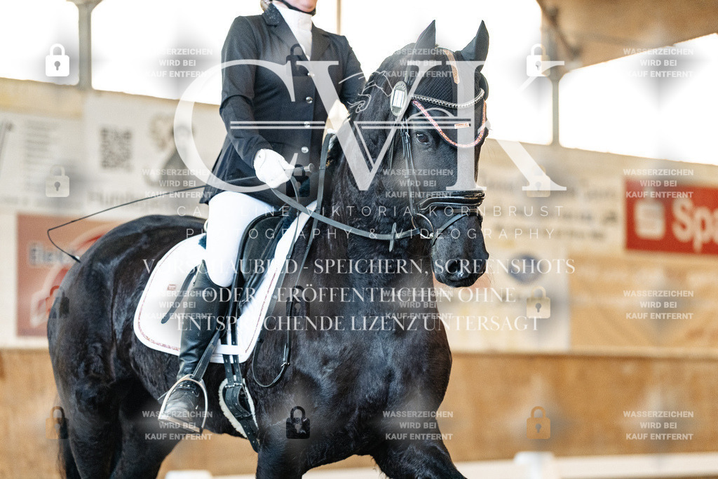 CK906532 | Turnierfotografie Pferdefotografie Trier Rheinland-Pfalz Pferdesport Reitsport Tierfotografie Sportfotografie Pferdevideo Pferdevideografie Equestrianvideography equestrianphotography  - Realisiert mit Pictrs.com
