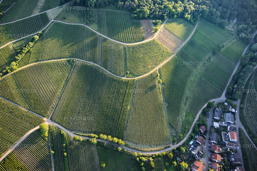 Luftbild: Weinlage Mandelhein und Kastanienbusch in Birkweiler im Bundesland Rheinland-Pfalz in Deutschland. – Foto: IMG_157600.jpg vom 18.06.2026 durch Werner Riehm/FLY-FOTO.de – Auflösung des Originals: 6000 x 4000 px