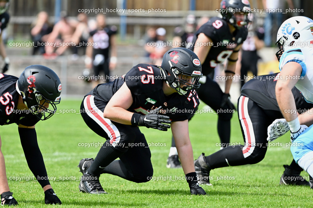 Carinthian Lions vs. Styrian Bears | Carinthian Lions vs. Styrian Bears, Carinthian Lions vs. Styrian Bears am 20.05.2024 in Klagenfurt (ASV Sportplatz), Austria, (Photo by Bernd Stefan)