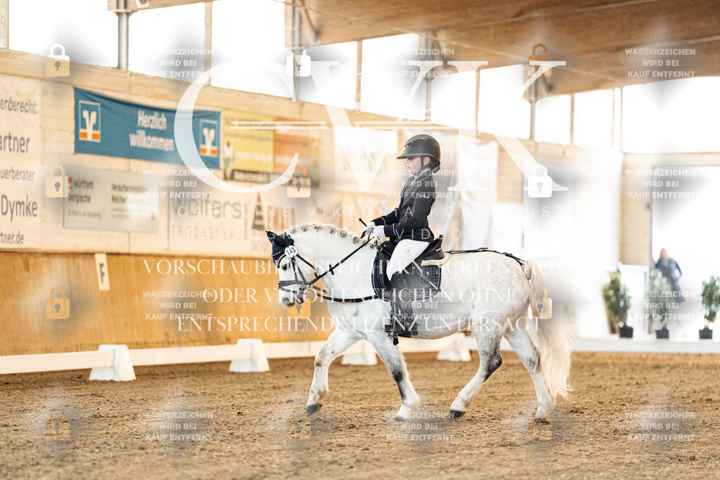 CK906442 | Turnierfotografie Pferdefotografie Trier Rheinland-Pfalz Pferdesport Reitsport Tierfotografie Sportfotografie Pferdevideo Pferdevideografie Equestrianvideography equestrianphotography  - Realisiert mit Pictrs.com