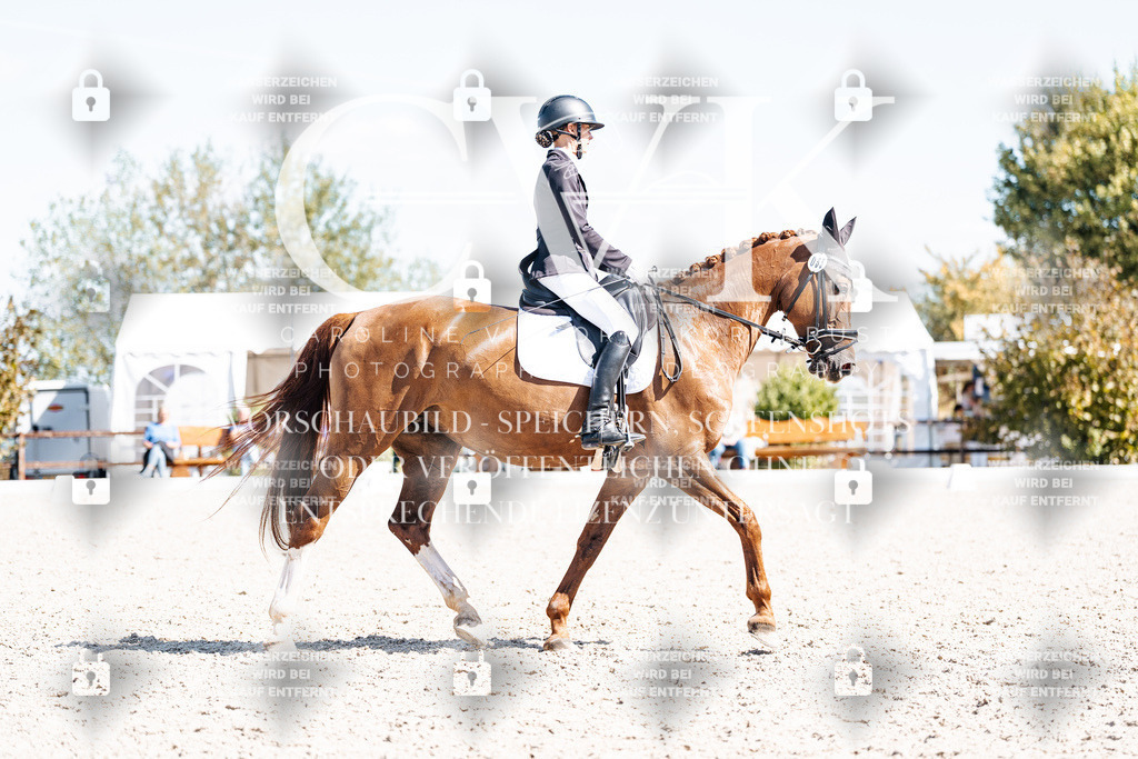 CK903920 | Turnierfotografie Pferdefotografie Trier Rheinland-Pfalz Pferdesport Reitsport Tierfotografie Sportfotografie Pferdevideo Pferdevideografie Equestrianvideography equestrianphotography  - Realisiert mit Pictrs.com