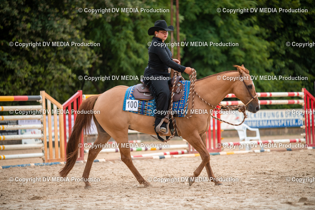 ZS2_8075 | dv-media-shop - Realisiert mit Pictrs.com