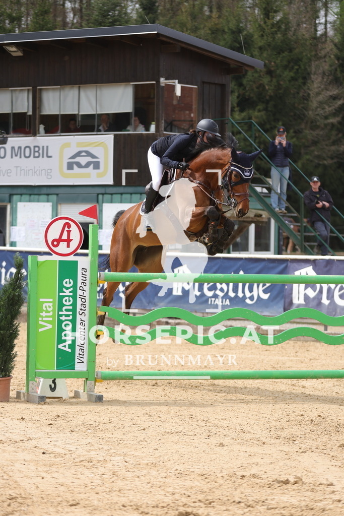 0P6A6169 | Willkommen bei Brunnmayr - Design & Fotografie – Ihrem Spezialisten für Reitturniere und Pferdeveranstaltungen in Oberösterreich, Salzburg und Bayern! Seit über 17 Jahren sind wir leidenschaftlich dabei.