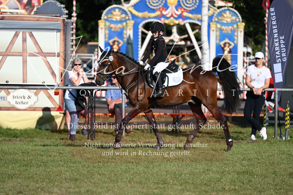 DSC_4744 | Pferde- und Turnierfotografie in Westsachsen. Pferdeportraits, Auftragszeichnungen und intuitive Kunst.