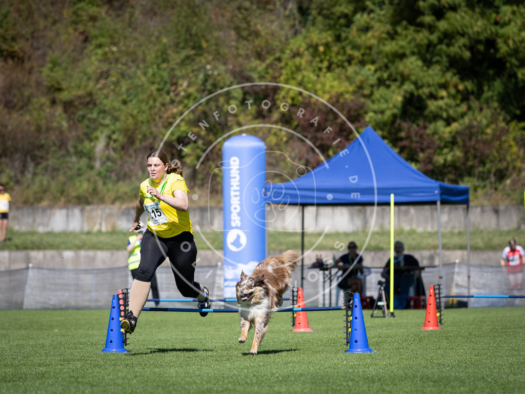 Pfotenfotografie_DV3A5271 | Hundefotografie, Tierfotograf, Pfotenfotografie, Fotoshooting Hund, Hunde Portrait, Hundesport, Hundeportraits, Heideshooting, Hunde, Sportfotograf, Hundefotograf, Turnierhundsport, THS,  - Realisiert mit Pictrs.com