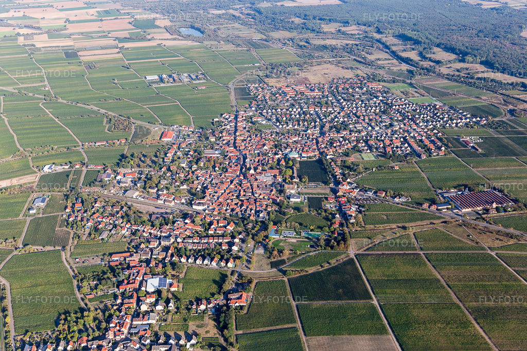 Luftbild: Mussbach im Ortsteil Mußbach in Neustadt im Bundesland Rheinland-Pfalz in Deutschland. Foto: IMG_111803.jpg vom 16.09.2018 durch Werner Riehm/FLY-FOTO.de