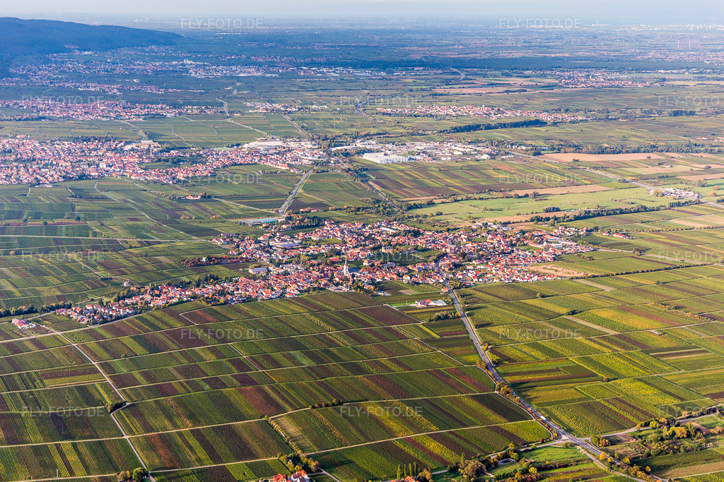 Luftbild: Ortsansicht der Straßen und Häuser der Wohngebiete in Roschbach im Bundesland Rheinland-Pfalz in Deutschland. Foto: IMG_103838.jpg vom 01.10.2017 durch Werner Riehm/FLY-FOTO.de