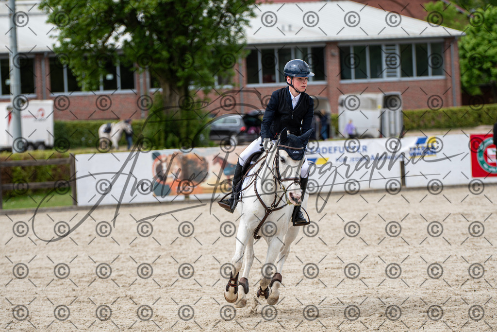 KPT_5942 | andre_photographic