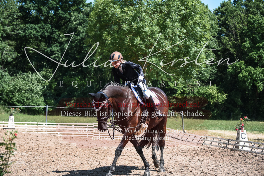 DSC_2842 | Pferde- und Turnierfotografie in Westsachsen. Pferdeportraits, Auftragszeichnungen und intuitive Kunst.
