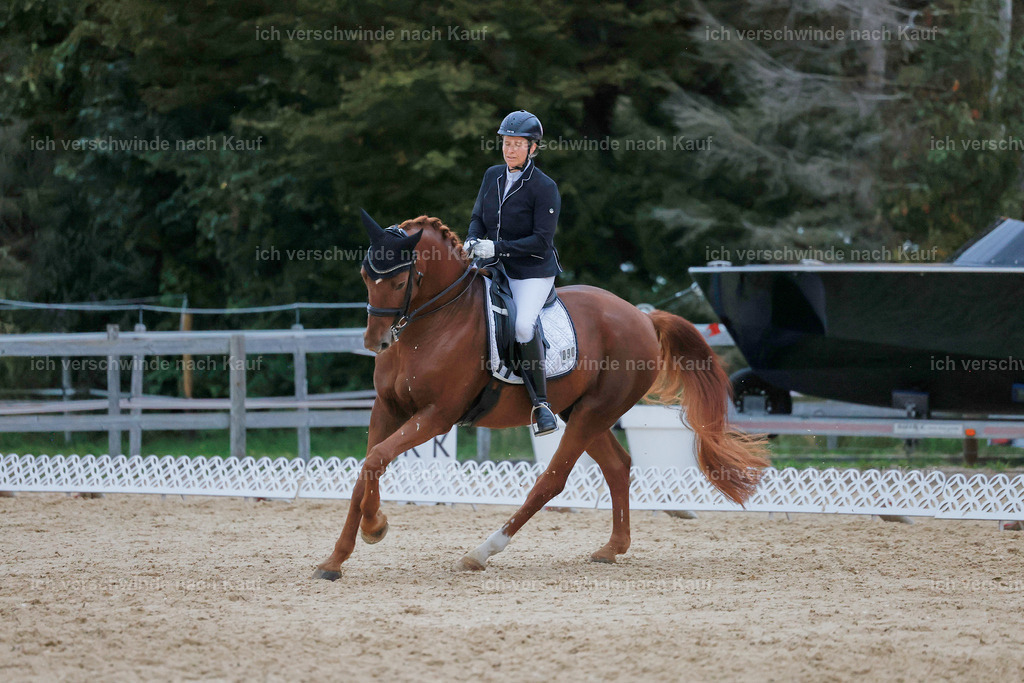 04_2-090-Dressur M__ -StoibPH-2998 | working equitationturnier fotograf videograf stoibphotography marixx film working equitation deutschland reitsport turnierfotografie eventfotografie equestrian events